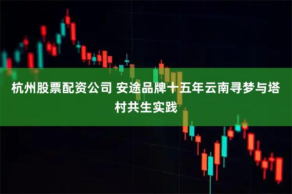 杭州股票配资公司 安途品牌十五年云南寻梦与塔村共生实践