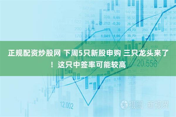 正规配资炒股网 下周5只新股申购 三只龙头来了！这只中签率可能较高