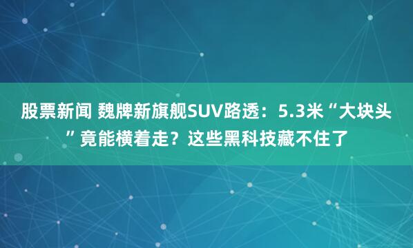 股票新闻 魏牌新旗舰SUV路透：5.3米“大块头”竟能横着走？这些黑科技藏不住了