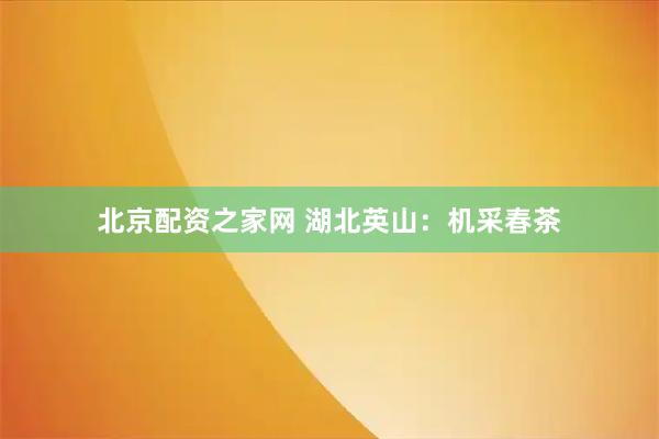北京配资之家网 湖北英山：机采春茶