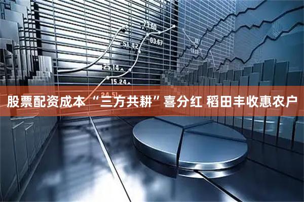 股票配资成本 “三方共耕”喜分红 稻田丰收惠农户